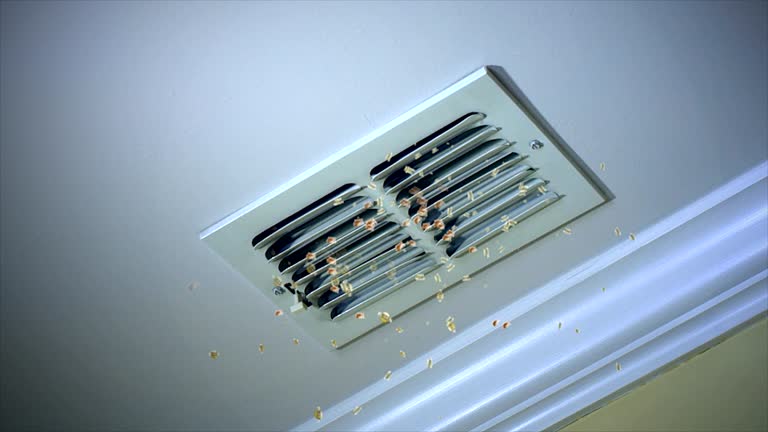 Home Air Vent Cleaning in VA