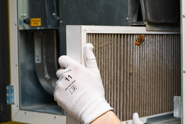 Best HVAC Maintenance and Cleaning  in Baileys Crossroads, VA